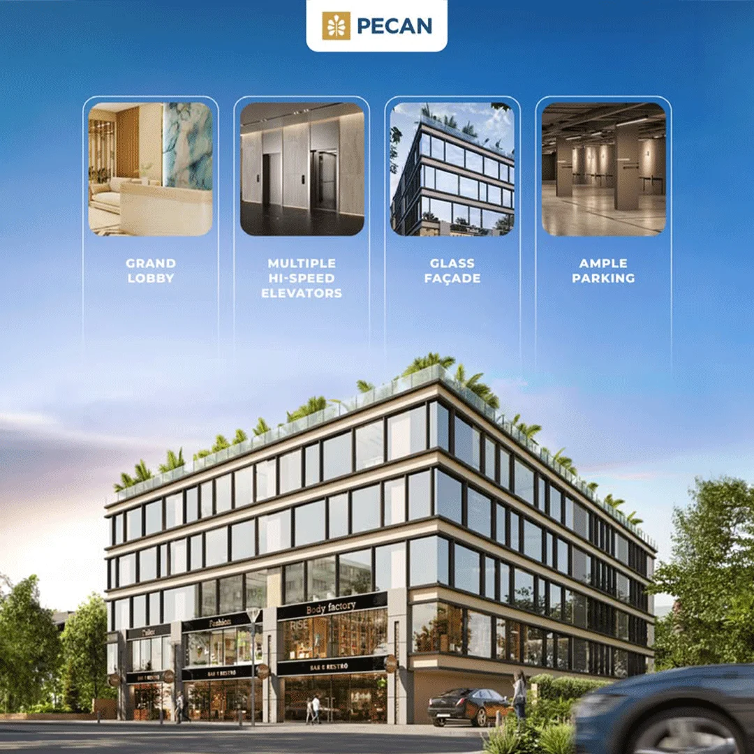 Pecan Gallery